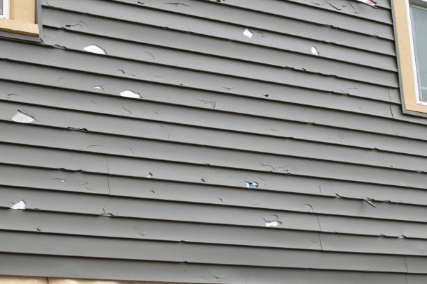 Best Shed Removal  in Springs, NY