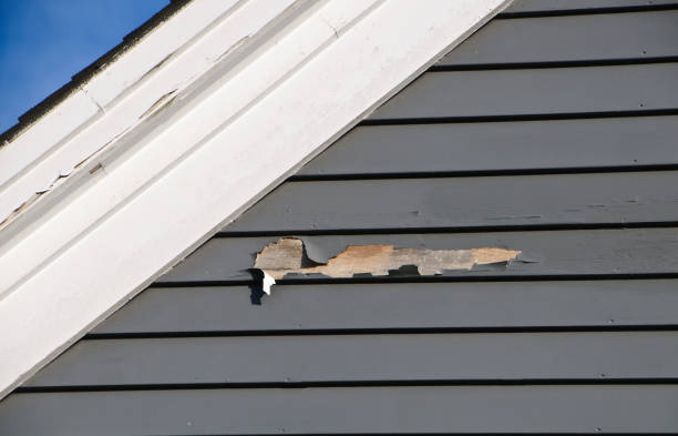 Shed Removal in Springs, NY