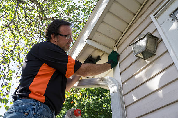 Best Same-Day Junk Removal Services  in Springs, NY